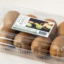 참다래농장 | 지긋지긋한 임신 변비 탈출기! 쾌변에 좋은 음식 &amp; 생활습관 공유 (내돈내산 꿀팁)