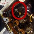 TM모터스 이미지