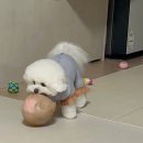 호연실