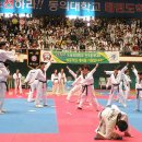 도신체육관 Daum카페