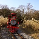 에코랜드 이미지