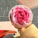 로즈와 나 | 스타벅스 음료 붉은 로즈 초콜릿 가격 칼로리 솔직후기