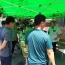 운종경로당 Daum카페