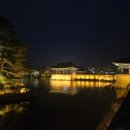 배경주헤어아트 | 경주 야경 명소 3곳 동궁과월지 첨성대미디어아트 월정교 아이랑 솔직 후기