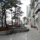 둔산중로-1 이미지