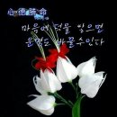 썸국제결혼 네이버블로그