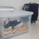 충북산소 이미지