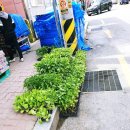 돌담집펜션 이미지