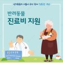 해담은동물병원 이미지