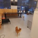 멍라이프 이미지