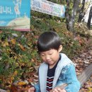 괴안어린이집 이미지