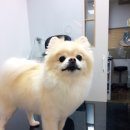 초원동물병원 이미지