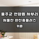 언양 서부리 두산위브APT 앞 | [울산블라인드 울산커튼] 울주군 언양 커튼 ♪ 언양읍 서부리 서울산 한신휴플러스 커튼 시공후기