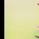 안의한의원 이미지