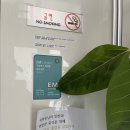 진주 게스트하우스 유등축제 첫날 루시다 게하 방문기