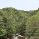 북상병곡삼거리 | 거창 서출동류 물길 트레킹길(월성계곡 수달래)