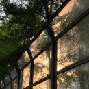 행복한 여정 이미지