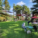 우리들애견 이미지