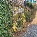 DG481펜션 이미지