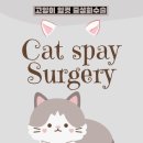 금샘동물병원 이미지