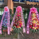 서강피앤디