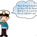 개냥이 이미지