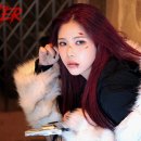 율 이미지
