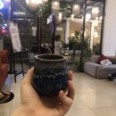 다낭 롯데마트 근처 살렘스파(Salem Spa Gargen) 이용후기