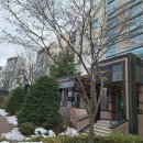 성산마을 동백하우스토리 이미지