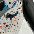 국제클라이밍센터 암벽장 이미지