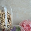 곤충연구소 실내 이미지