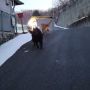 금영인터네셔날 이미지