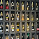 당구천하 | 26년 1월 일상(2)