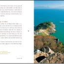 산천미래나무
