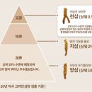 정관장홍삼의왕점