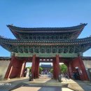 창경원 VS 창경궁