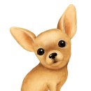 닥터멍동물병원 이미지