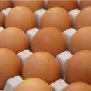 진순농장 이미지