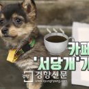 서당개 이미지