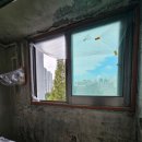 사랑마을청구경로당 | 부천 사랑마을 청구 세탁실 베란다 곰팡이 제거 페인트 후기