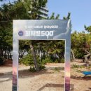 미우새 피지컬 서바이벌 대회 피지컬 500 참가 후기! 강철부대와 육준서까지