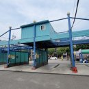 19주 4일차 임신증상, 세차장 방문