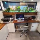 온수골사거리 이미지