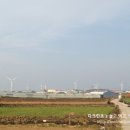제주 올레길 20코스 이미지