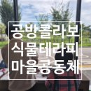리디아스튜디오 | 평택마을공동체와 함께한 공방 콜라보 식물테라피 클래스｜리디아플라워스튜디오 식물출강 후기