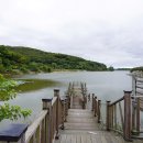 양주초록지기정보화마을 | 양주 봉암저수지, 연꽃이 남아 있는 호수