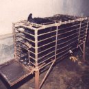 선은식농장 이미지