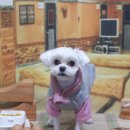 삼정회관 이미지