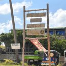 토토김밥 | 보홀 여행 후기 : 스쿠버 다이빙 오픈워터 자격증...다이브, 크리 KRI BBQ, 토토에페피노 Toto E...