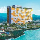 그린트리 이미지